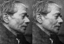 विकल्पहीन नही है दुनिया : स्वप्नद्रष्टा किशन पटनायक