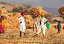 प्रो. अरुण कुमार का लेख- सभी फसलों पर एमएसपी देना कितना व्यावहारिक है?