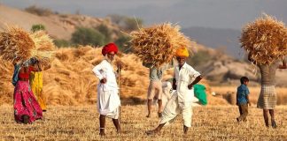 प्रो. अरुण कुमार का लेख- सभी फसलों पर एमएसपी देना कितना व्यावहारिक है?