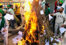 किसान विरोधी कानूनों की प्रतियां जलाई गईं