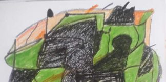 धीरेन्द्र नाथ श्रीवास्तव की दो कविताएं