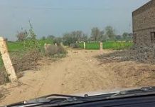 मिट्टी सत्याग्रह