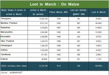 मक्के में मार्च में 105 करोड़ की लूट !