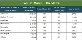 मक्के में मार्च में 105 करोड़ की लूट !