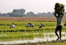 बिहार के किसान का अनुभव, जहां मंडी नहीं है