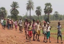 वैकल्पिक अर्थव्यवस्था के लिए क्या करना होगा