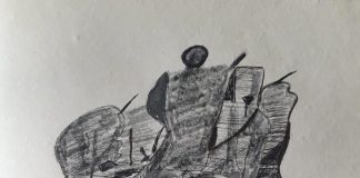 कुंवर नारायण की कविता