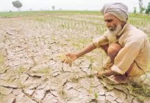 किसान आंदोलन देश को एक वैकल्पिक अर्थव्यवस्था की ओर ले जा सकता है