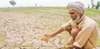 किसान आंदोलन देश को एक वैकल्पिक अर्थव्यवस्था की ओर ले जा सकता है