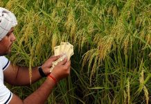 कृषि के कायाकल्प के लिए क्या करना होगा