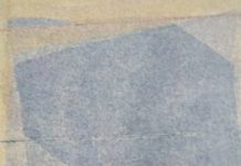 विकास ने नहीं बख्शा किसी गांव को