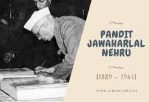 नेहरू का नायकत्व क्या है