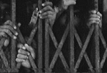 भय और लालच से आती है गुलामी