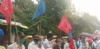 बक्सवाहा जंगल बचाने के लिए मानव श्रृंखला