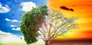 पृथ्वी का प्रतिशोध