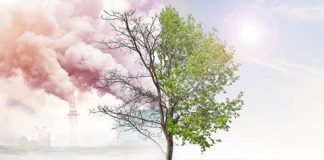 मोदी सरकार का दूसरा कार्यकाल भी पर्यावरण के लिए विध्वंसक साबित हो रहा है