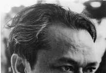 सहाय जी से वह झिझकती हुई मुलाकात