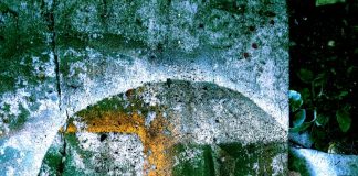 अनिल अनलहातु की तीन कविताएं