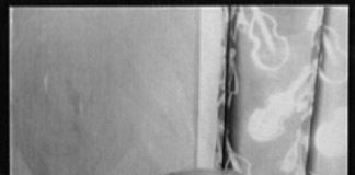 विन्सेंट शीन, जिन्होंने कहा था कि गांधी कभी भी मारे जा सकते हैं