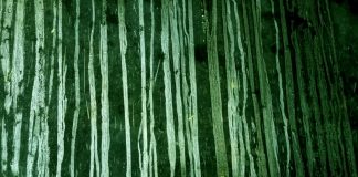 भारतीय लोकतंत्र और संस्कृति का अंतर्विरोध