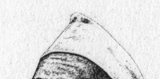 समाजवादी साधक साने गुरु जी