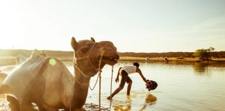 पानी के सौदागर थार की बसावट को एक बार फिर उजाड़ देंगे