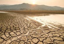 योजनाकारों को पैसा चाहिए, थार को पानी