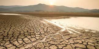 योजनाकारों को पैसा चाहिए, थार को पानी