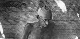 गांधी, जैसा मैंने जाना – नारायण देसाई : दूसरी किस्त