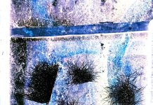 शिव कुशवाहा की कविताएँ