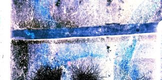 शिव कुशवाहा की कविताएँ