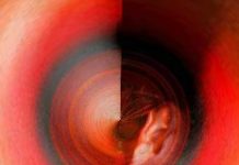 दिविक रमेश की चार कविताएं