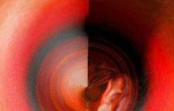 दिविक रमेश की चार कविताएं