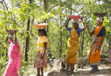 अरण्य संस्कृति में ही गड़ी है हम सबकी गर्भनाल