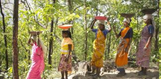 अरण्य संस्कृति में ही गड़ी है हम सबकी गर्भनाल