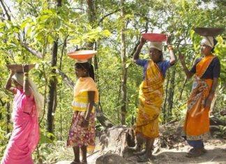 अरण्य संस्कृति में ही गड़ी है हम सबकी गर्भनाल