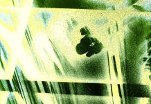 धूमिल की कविता