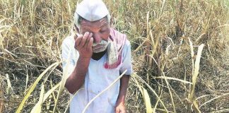 किसान की आमदनी दुगुनी करने के ऐतिहासिक मिशन के दौरान किसान की आमदनी में ऐतिहासिक कमी – योगेन्द्र यादव