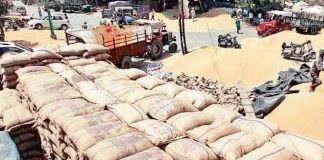 किसानों का अंदेशा सही निकला, मप्र में 49 मंडियों की आमदनी हुई जीरो