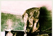 देवेन्द्र आर्य की कविताएं