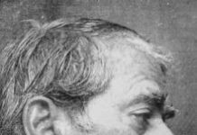 वैकल्पिक राजनीति के वाहक : एक प्रस्ताव – किशन पटनायक