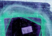 पोल कवयित्री विस्वावा शिम्बोर्स्का की दो कविताएँ