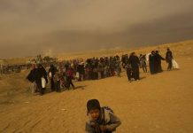 जलवायु परिवर्तन और हिंसा के चलते पहली छमाही में आठ करोड़ से ज्यादा हुए विस्थापित