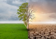 कॉप 26 : क्या एक बड़ा मौका चूक गया?