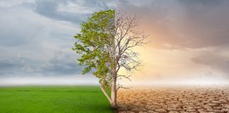 कॉप 26 : क्या एक बड़ा मौका चूक गया?