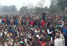 जमीन का आंदोलन और आंदोलन की जमीन