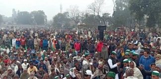 जमीन का आंदोलन और आंदोलन की जमीन