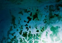 नाज़िम हिकमत की दो कविताएं