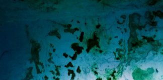 नाज़िम हिकमत की दो कविताएं