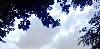 संजय कुंदन की दो कविताएं